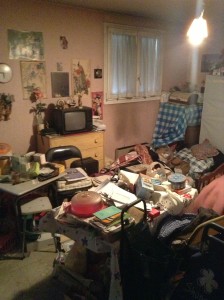 Débarras d'appartement après Diogène à Plaisir